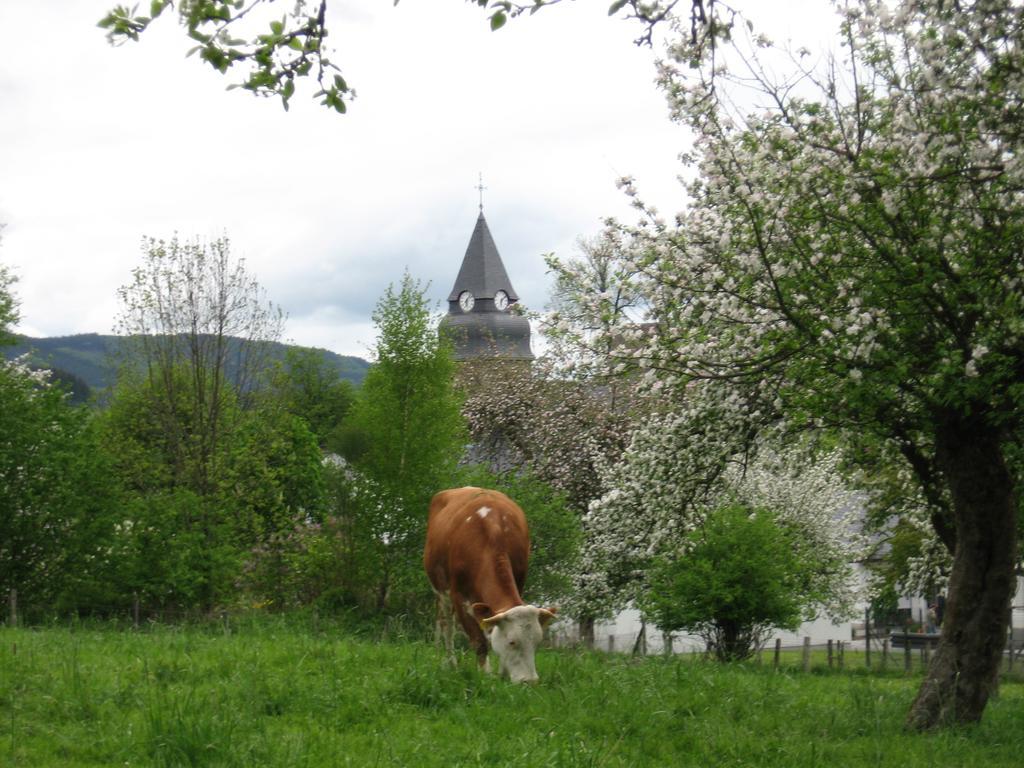 Ferienwohnung Moos-Hochsauerland Wiemeringhausen 部屋 写真