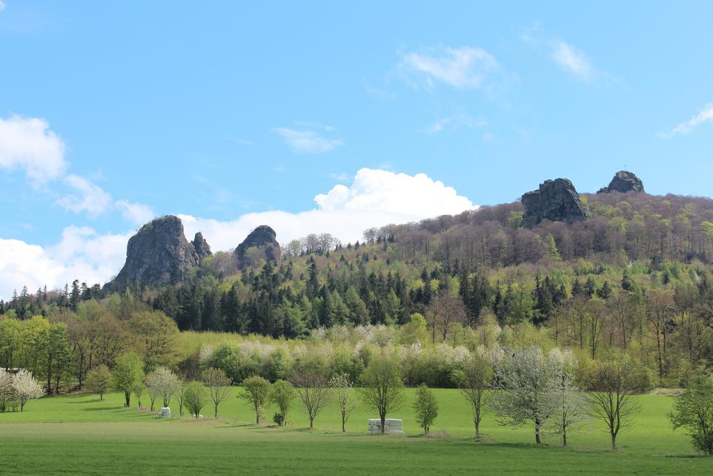 Ferienwohnung Moos-Hochsauerland Wiemeringhausen 部屋 写真