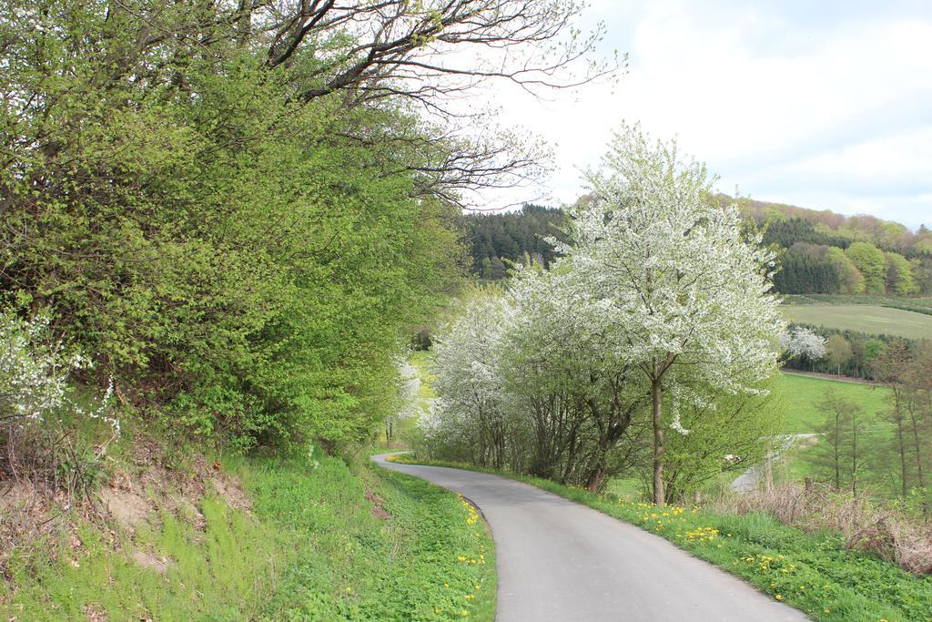 Ferienwohnung Moos-Hochsauerland Wiemeringhausen 部屋 写真